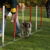 agility 2011-10-30